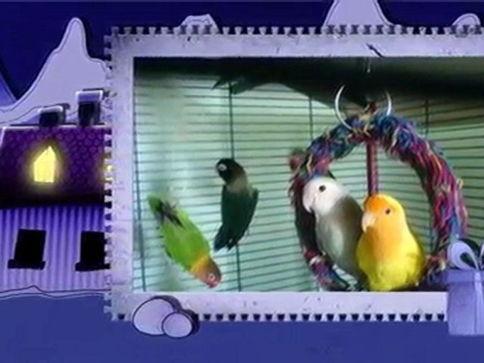 famille animaux