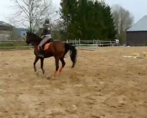 stage CSO avril 2010 mercredi