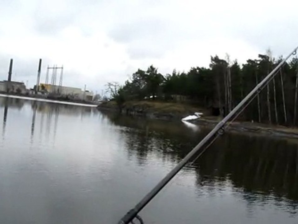 WHITEFISH AVIM 16.4.2010 001