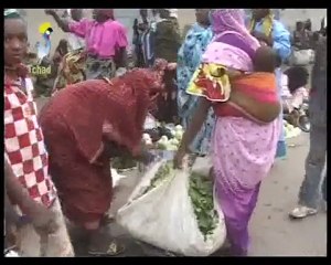 TCHAD FEMME ET DÉVELOPPEMENT TCHADONLINE.TV