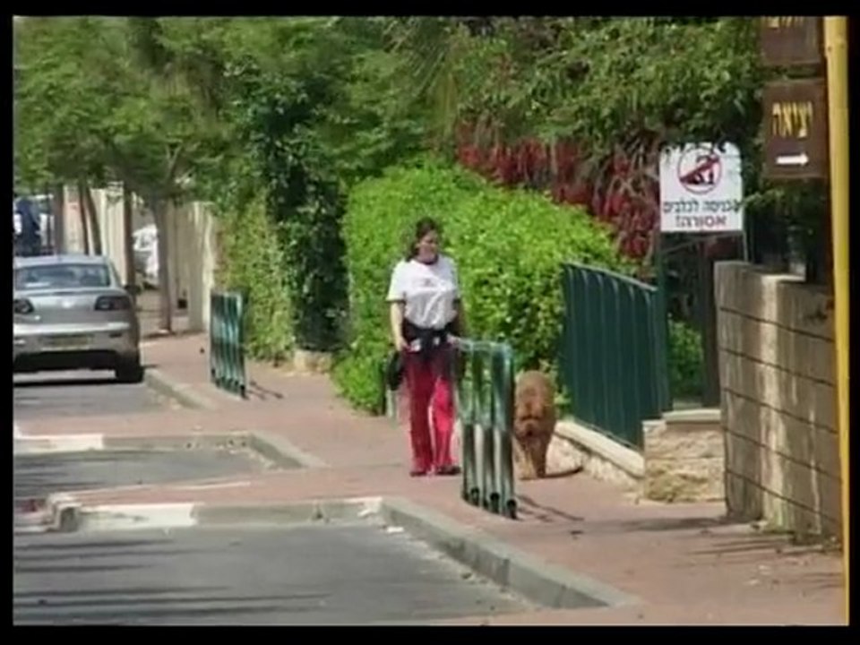 מושב צור משה