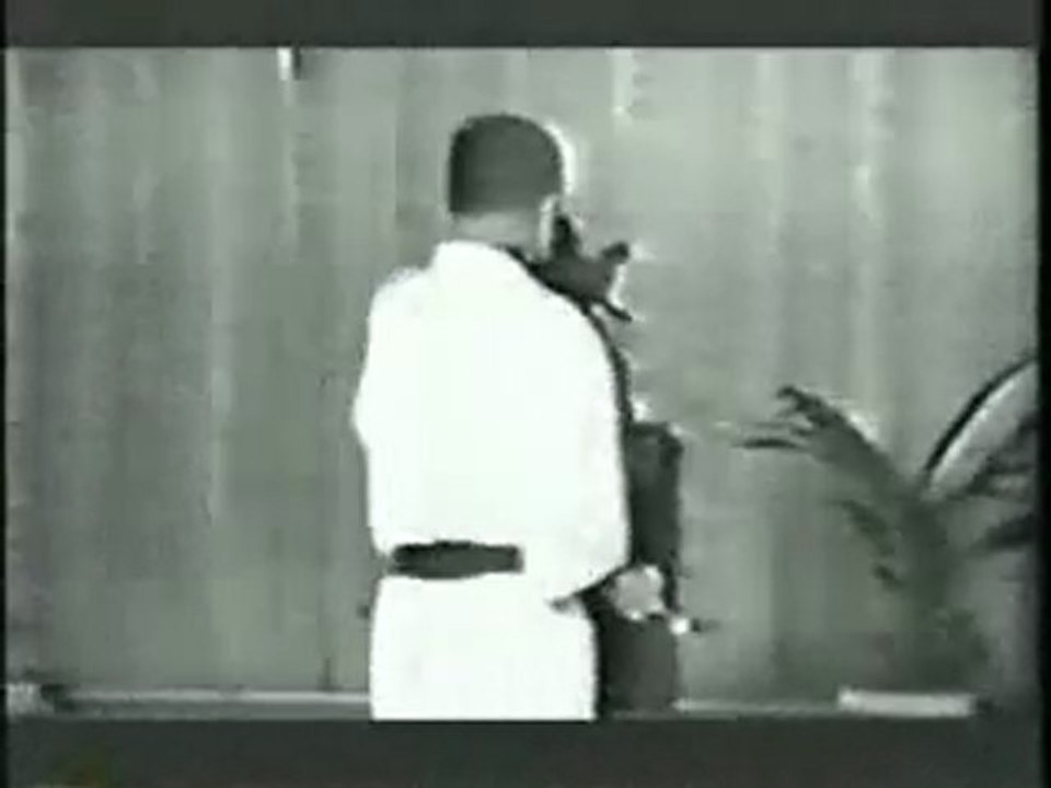 Warrior Pages: Taira Shinken Sai Kata