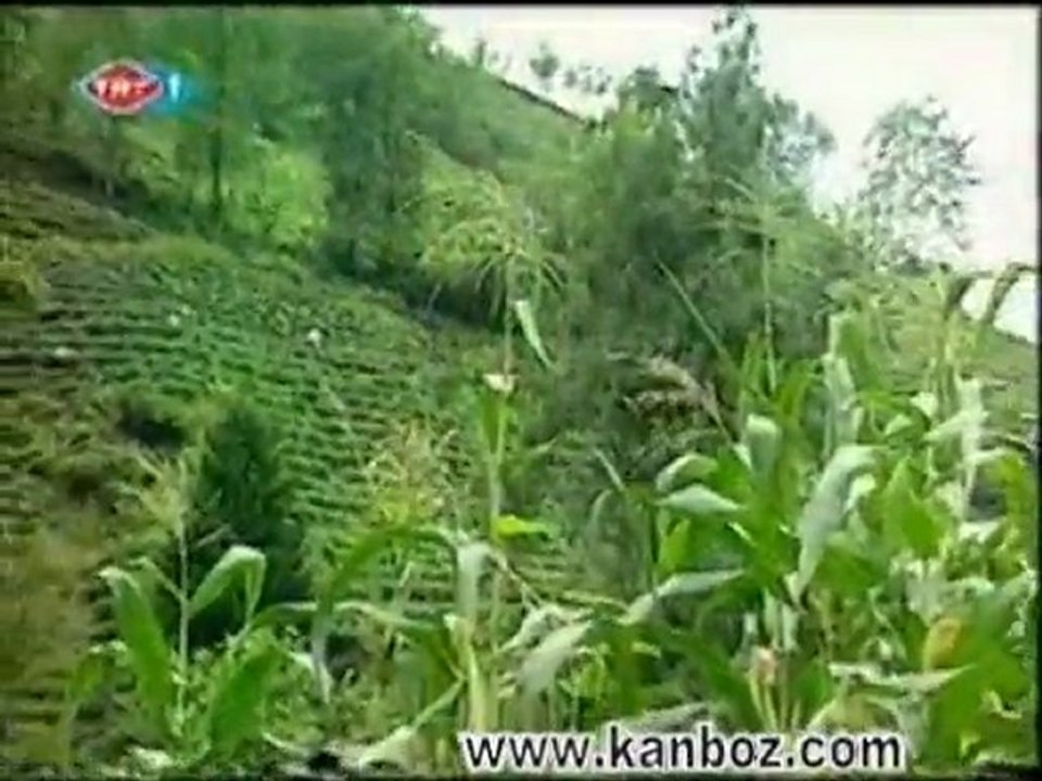 kanboz tanıtım videosu