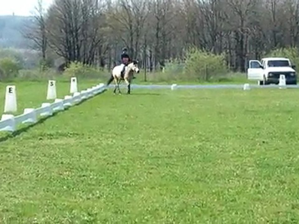 Damiatte Dress Club 3 11/04/2010