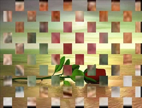 GÜL AHMEDİM ..H.PINARCI