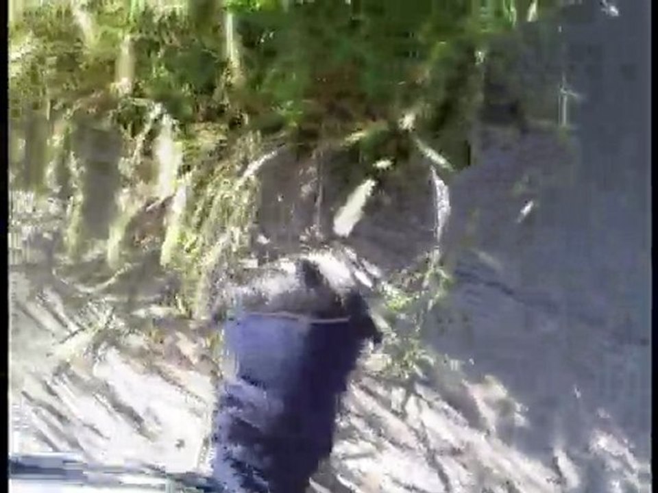 Maria does a Handstand