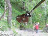 Débardage 2009 Mt-denis, Ruby au câble tracteur...