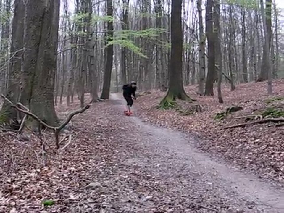 Première sortie du dirtsurfer au bois.