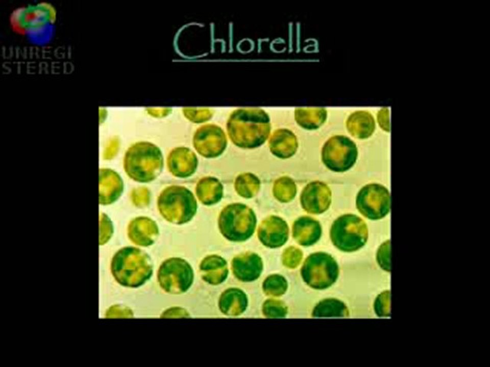 6 Natural Cures for Cancer - Is it possible?