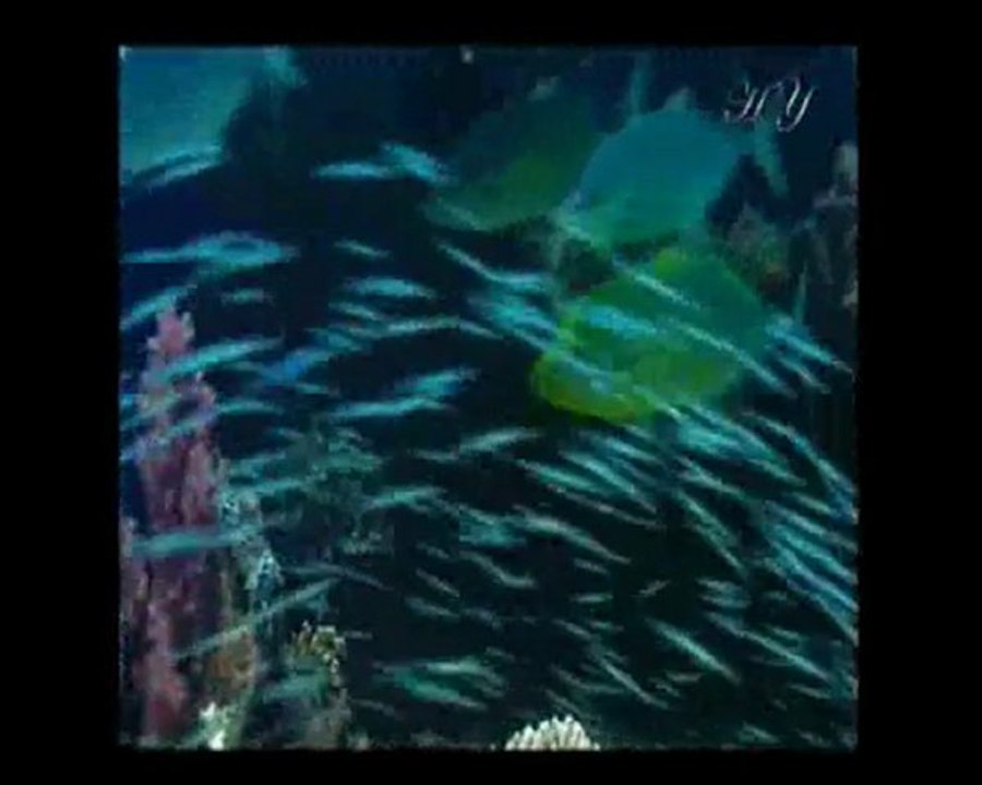 La lumiere de l'islam partie 2(mise à jour)