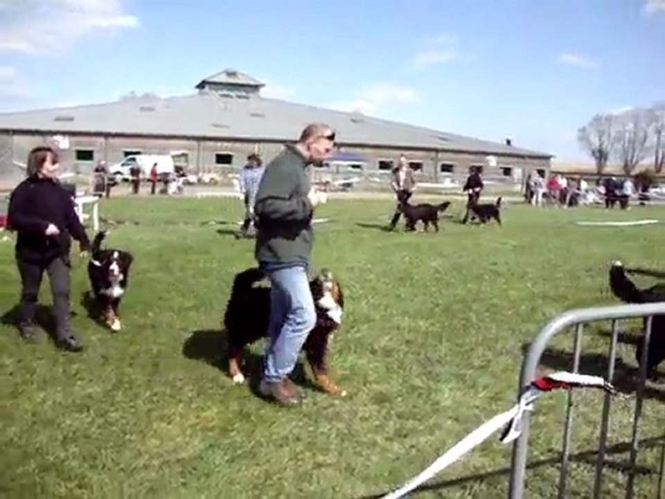 Concours bouviers bernois Ferme du Marrault 11-12 avril 2010