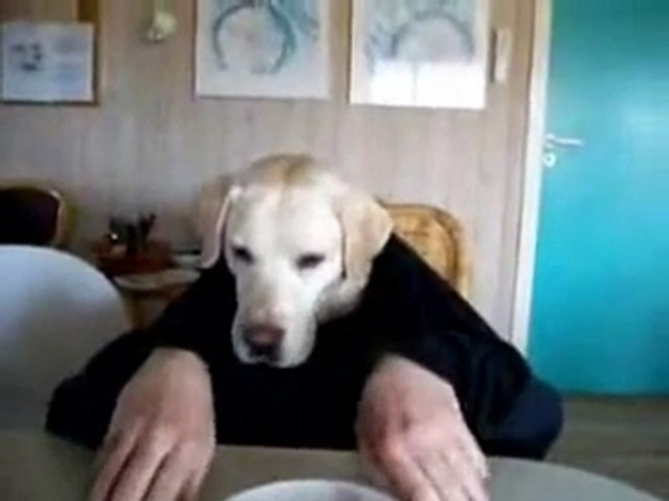 Kopek