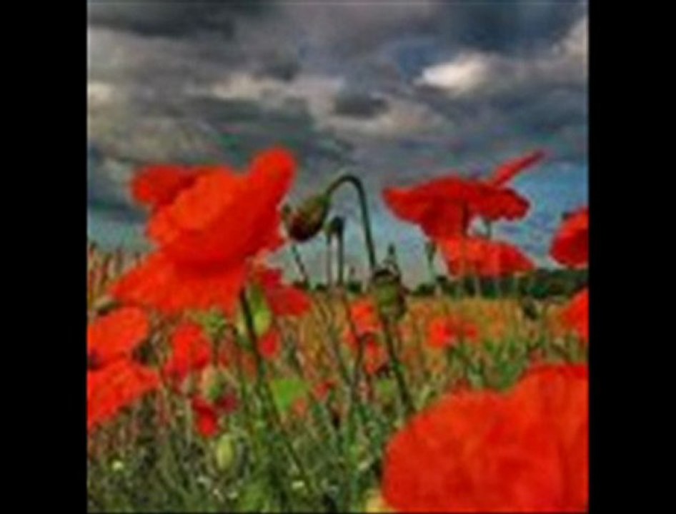 MAHMUT POLAT - GÜLÜM KALDI *GÜMÜŞHANE*