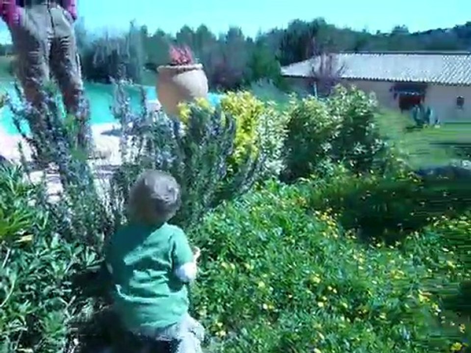 chasse aux oeufs 2010