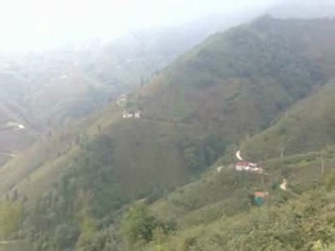 Arsin Fındıklı Köyü Godenes...