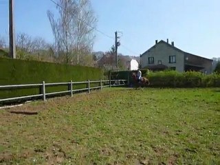 Séance de obstacle avec Quero