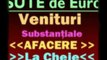 Plan de Afaceri Model - Exemplu de Afacere OK