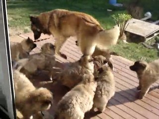 Nous profitons du beau temps