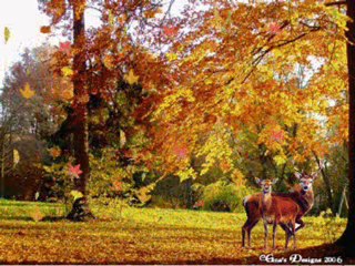 Vedat Şencan.  Kader Kime Şikayet Edeyim Seni.