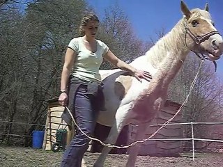 Framboise, travaux d'approche hors de l'abri