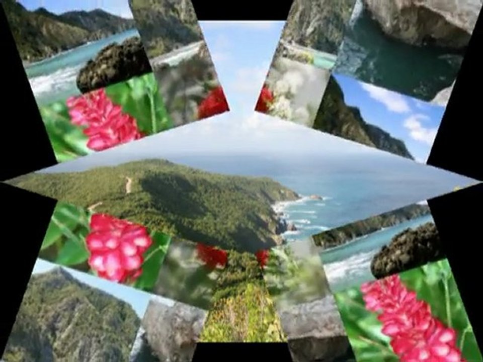 Villas les anacardiers