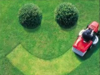 Lawn Care In Wilson NC