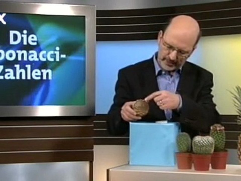 Die fibonacci-zahlen