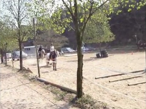 Cours du vendredi 16 avril 2010, en licol éthologique