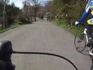 Carros village - Gattières