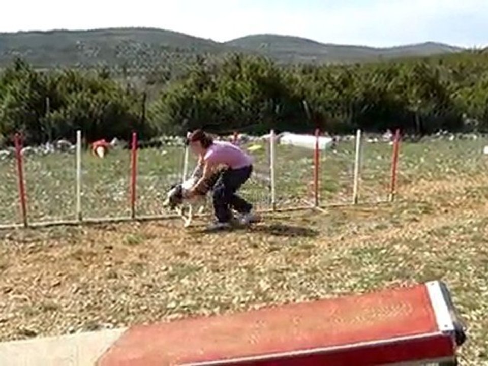 Eaven Agility