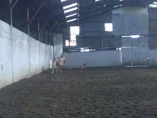 14 éme jour de vie de spirit