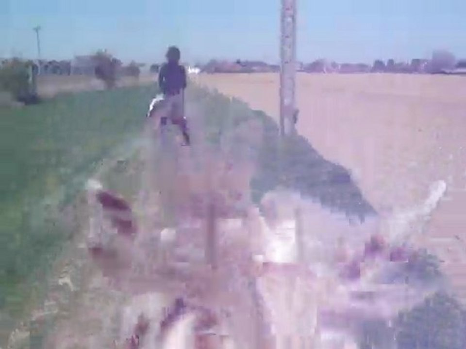 DSCF2281