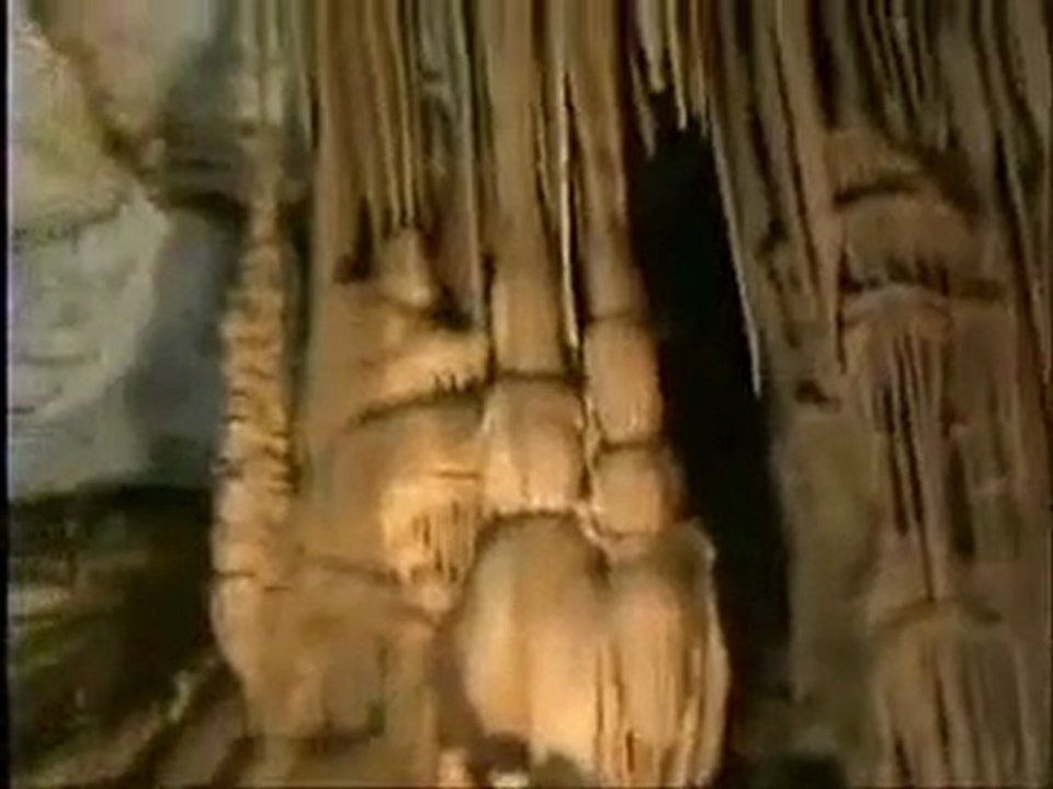 MAHMUT POLAT- CAN GÜMÜŞHANE