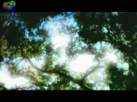 Relaxation -Chakra REIKI - Mind Body Soul