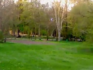 BIG LAMA BRUSHLESS