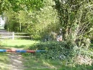 Mini cross Lemon et Nicolas