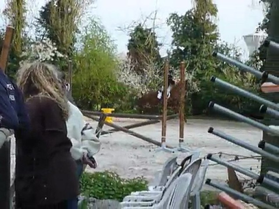 Concours d'entrâinement Brie Cte Robert - 11 avril 2010