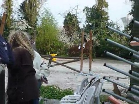 Concours d'entrâinement Brie Cte Robert - 11 avril 2010