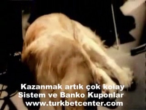 Sezen Aksu Perişanım Şimdi