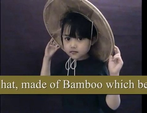 Burma, NLD Kamauk & Daw Aung San Suu Kyi