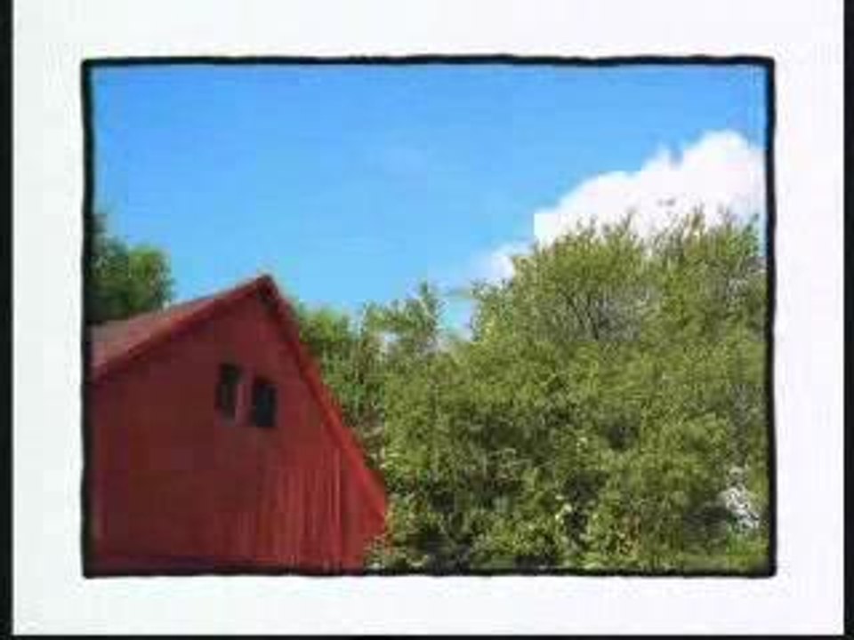 Cartoons - Aisy Waisy