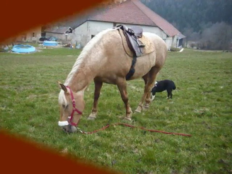 15 avril 2010