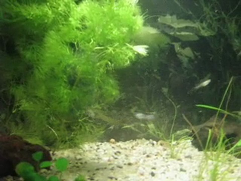 MVI_2239