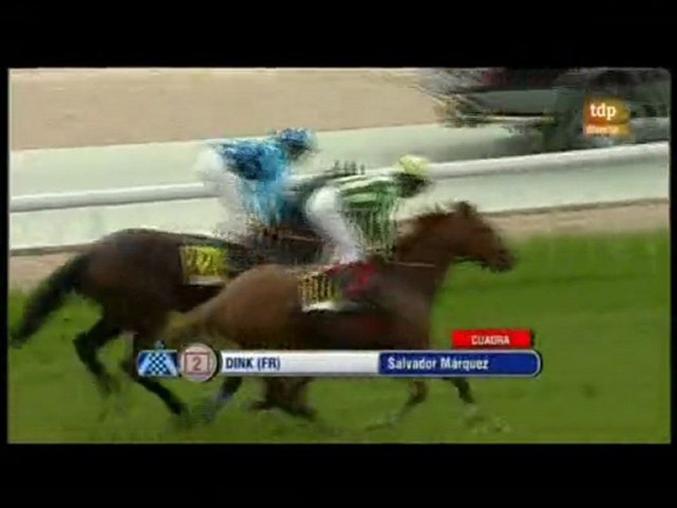 2010.04.18, n° 101 LZ (SEPI (C) DINK