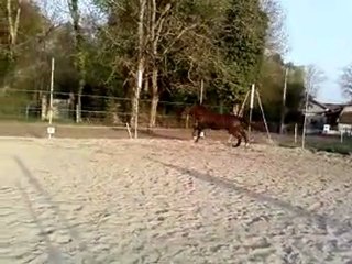 féfé saute 1m