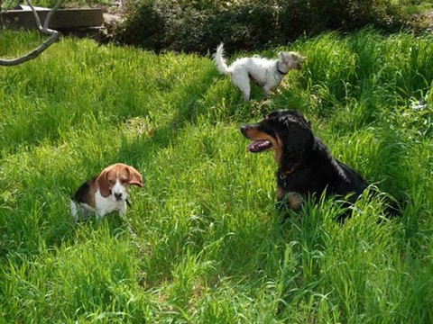 balade Castille 13 avril 2010