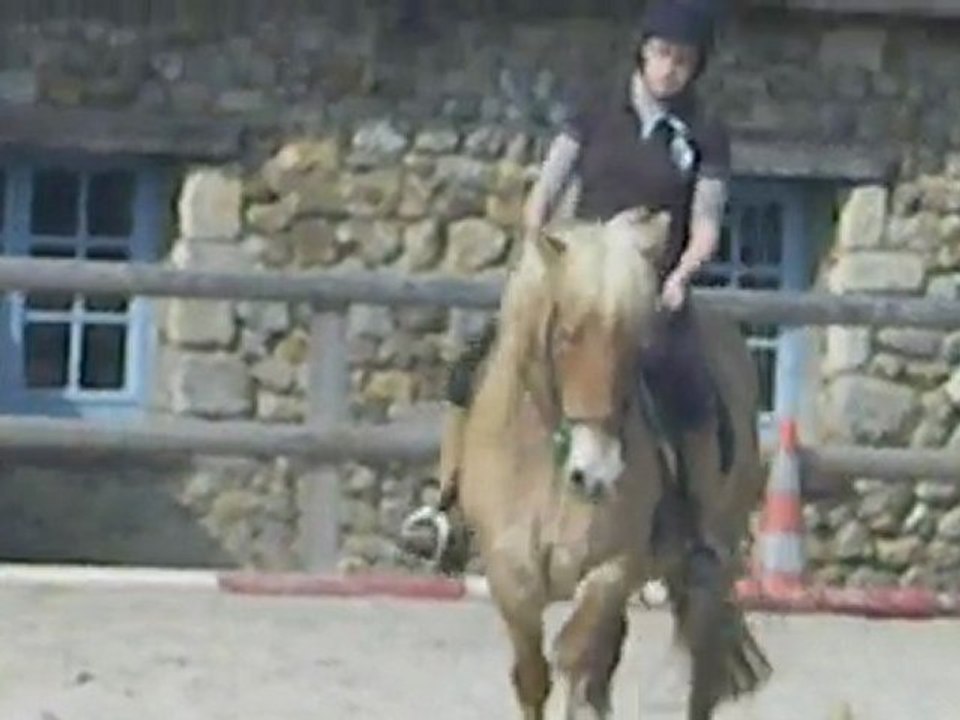 cours d'équitation