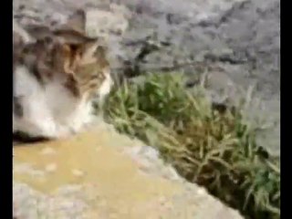 Psikopat Kardeşler 3. Bölüm ''Dostluk''