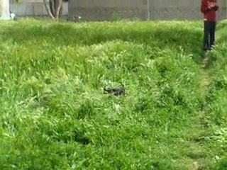 Enza - 3eme video le 18 avril 2010