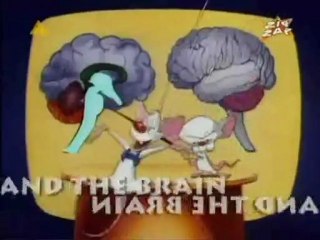 pinky i mózg intro pl